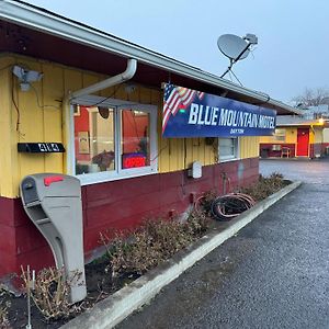 Blue Mountain Motel